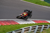 cadwell-no-limits-trackday;cadwell-park;cadwell-park-photographs;cadwell-trackday-photographs;enduro-digital-images;event-digital-images;eventdigitalimages;no-limits-trackdays;peter-wileman-photography;racing-digital-images;trackday-digital-images;trackday-photos